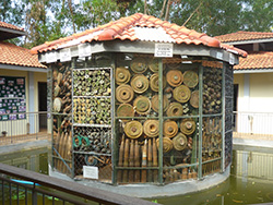 Landminemuseet i Kambodsja