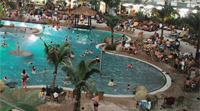 Tropical Island