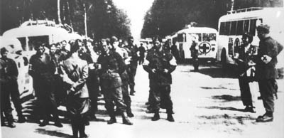 Hvite bussene