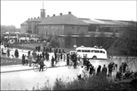 De hvite bussene