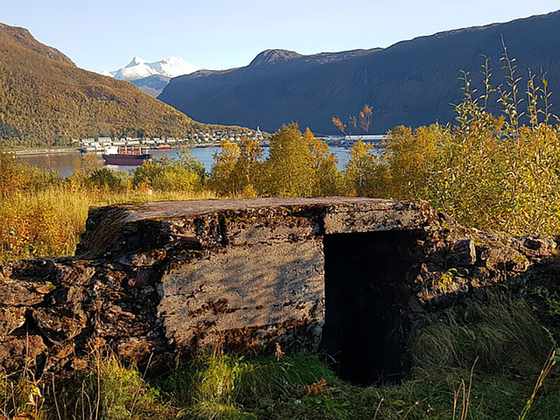 Bunkersanlegg i Narvik