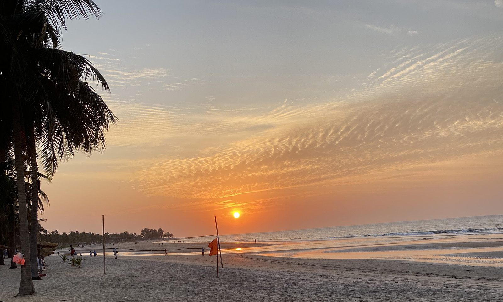 Strand og palmer i Gambia