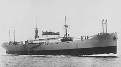 M/S Villanger