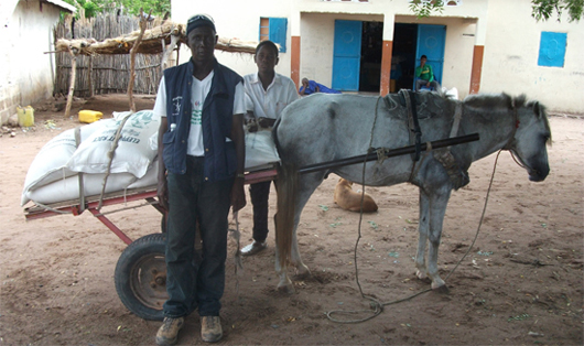 Rissekker til Gambia