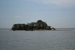 James Island